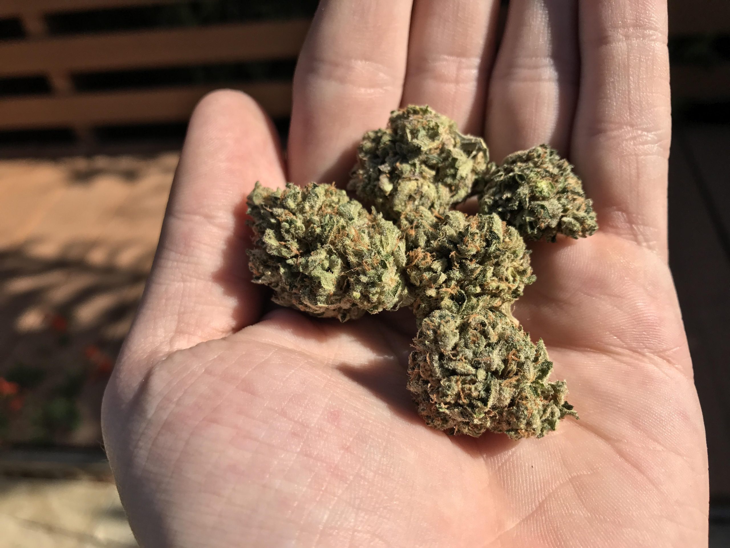 Enhancing Physical Wellness with HHC Flower